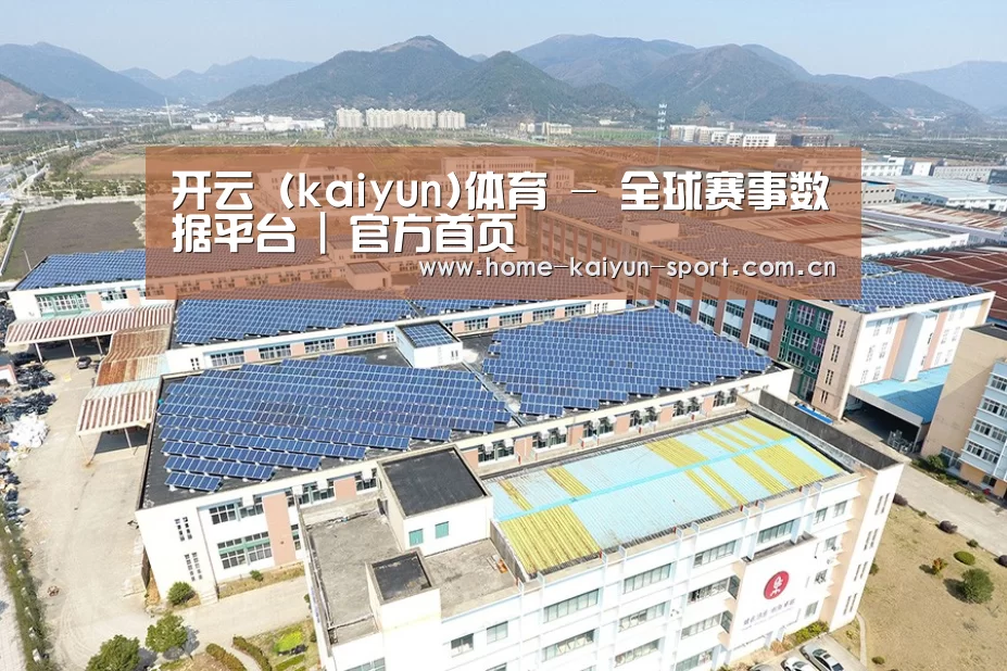 案例展示一