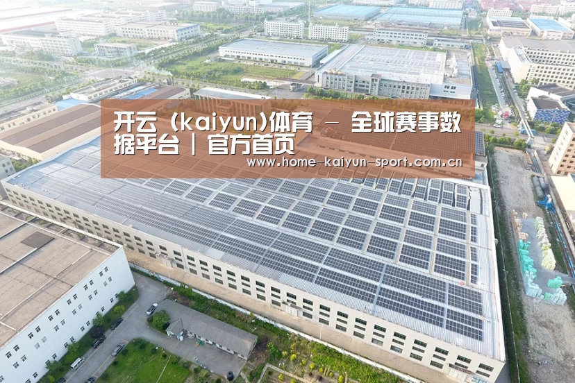 案例展示二