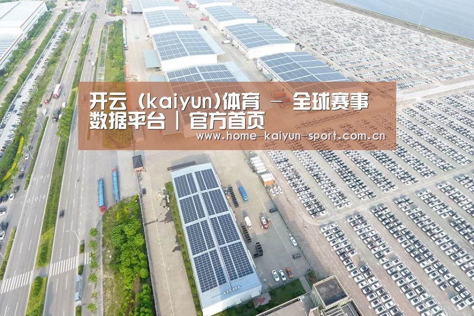 案例展示三