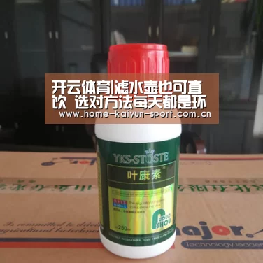 开云体育|滤水壶也可直饮 选对方法每天都是环境日(图4) 开云体育